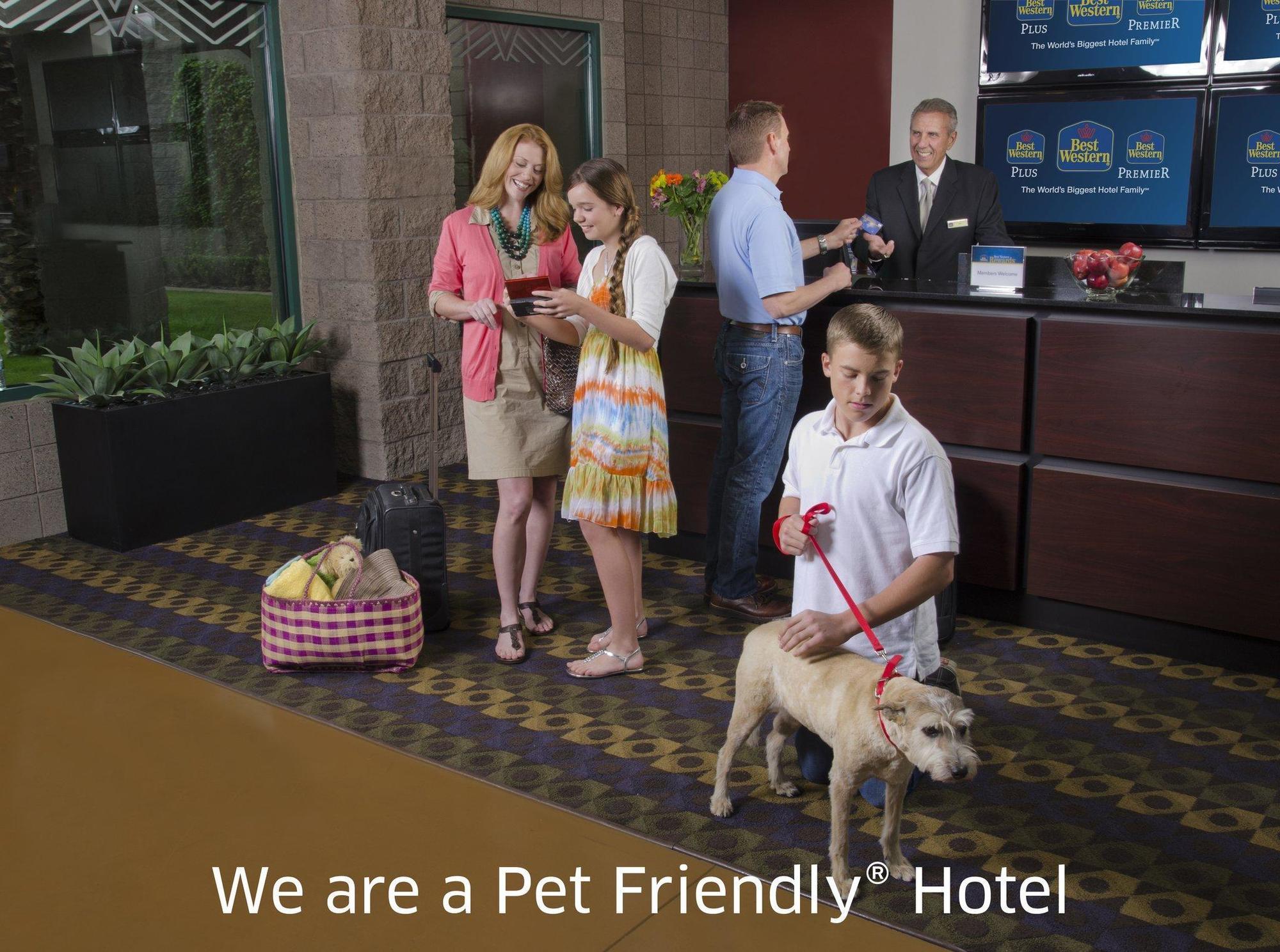 Quality Inn & Suites Phoenix Nw - Sun City Youngtown Ngoại thất bức ảnh